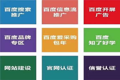 百度竞价运营案例分析：实战经验总结